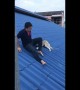 Dog owner rescues clumsy husky who got stuck on roof