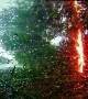 Lightning Strikes Tree, Causing Crash