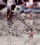 Chinese man uses 66 bags of coins to pay for car