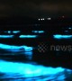 Luminous 'blue tears' phenomenon lights up waters on Chinese beach