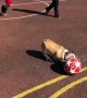 'Lionel Messi of Dogs' runs rings around a group of young football players in Ireland