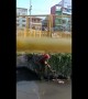 Passerby rescues drowning puppy from a canal in Manilla, Philippines