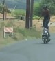 Scooter Rider Has Outstanding Balance