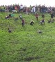 Multiple injuries at the 2019 cheese rolling contest in the UK