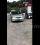 Owner runs out of US gas station to find impatient dog honking his car