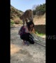 Monkey won't stop jumping on tourist's head in Japan
