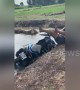 Wheelie bad! Thai man fails at moped trick and falls in pond