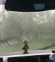 Huge hailstones batter cars during unseasonal storm in the Philippines