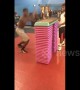 Man tries incredible gym jump and fails in epic fashion