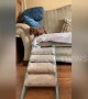 Adorable dachshund puppy uses tiny staircase to get off sofa in UK home
