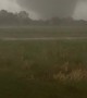 Tornado Touching Down by Home