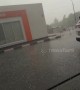 Hailstones "the size of quail eggs" batter Moscow region of Russia