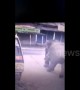 Security cam captures moment rampaging elephant rams tuk-tuk