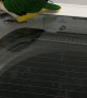 Hilarious Parrot Watches Washer Spin