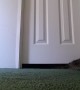 Kitty Wiggles his way under a Door