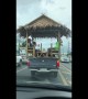 Bizarre moment pet dog and 4 men ride in bamboo hut on wheels