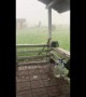 Oh hail no: enormous egg-sized hail bombards Romanian backyard