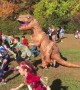 Dinosaur Fails
