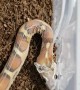 Scaleless Snake Shedding Skin