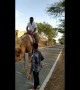 Hump day fails: man in India can't control camel, topples over
