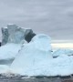 Iceberg Rolls in the Bay