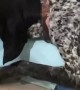 Dog and Daughter Cuddle Adorably