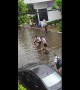 Ingenious schoolboys use three wooden chairs to cross flooded road in Thailand