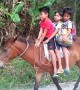 Students at remote village in the Philippines forced to ride horses to school every day