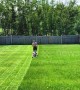 Canada dad shows just how satisfying mowing a lawn can be