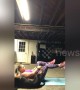 Dog copies US owner's movements during pilates workout