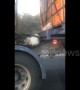 Chickens cling to truck going 100 kph after falling out crate on Melbourne highway
