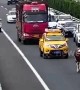 Cow strolls along busy motorway after falling from a transport truck in China