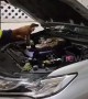 Huge python found on car engine in Thailand