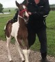 Happy Foal Missed her Momma