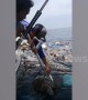 Fishermen rescue two sea turtles trapped in floating rubbish off Thailand