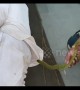 Snake rescued from the shirt of a sleeping man in an Indian hospital, without him waking up!