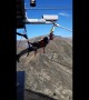 '3, 2, 1, bye!' Man shoots off on the world's biggest catapult in New Zealand