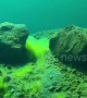 US lake explored with underwater drone shows luminous vegetation