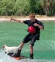 Doggo Rides Wakeboard like a Pro