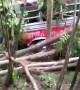 Dozens of schoolchildren injured after bus crashes down ravine on day trip