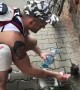 Thirsty crow is given water by hero during Polish heatwave