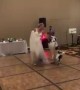 Dog dances and does tricks with bride at her wedding reception
