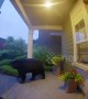 Huge black bear spotted roaming through Washington neighbourhood