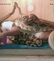 Indonesian girl calmly watches cartoons on phone while covered head to toe in snakes