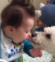 Dog and Baby are BFFs