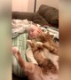 Kitty Snuggles Up with Sleeping Baby