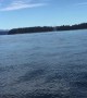 Incredible double humpback whale breach off British Columbia coast