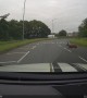 UK driver narrowly avoids family of deers crossing road in Bolton