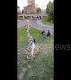 A Woman attempts a cartwheel gone wrong