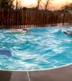 California earthquake creates waves in family swimming pool